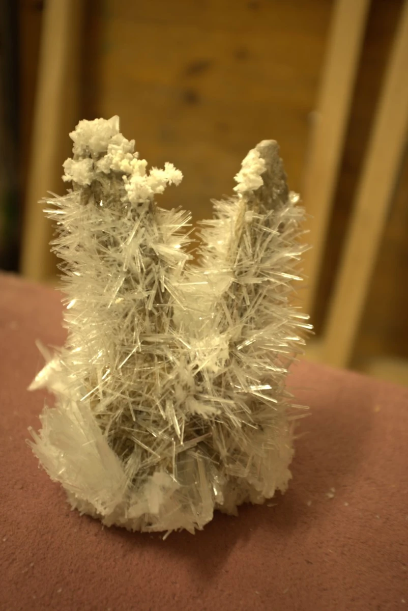 Valentin Martre 301/013/2025  stephaneguglielmet @dagp