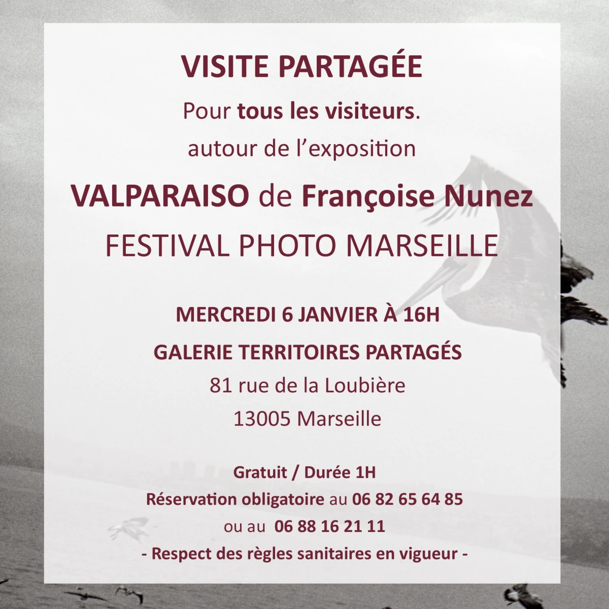 visite-partagee-francoise-nunez-6-janvier-carre