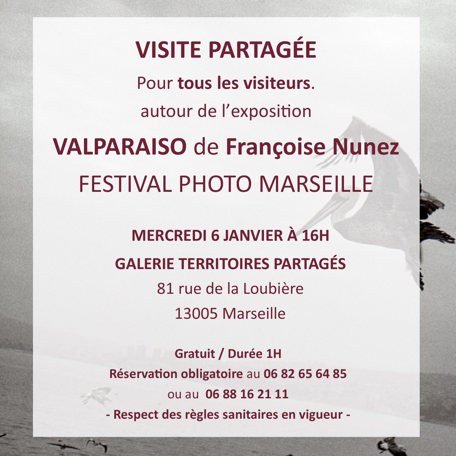 visite-partagee-francoise-nunez-6-janvier-carre