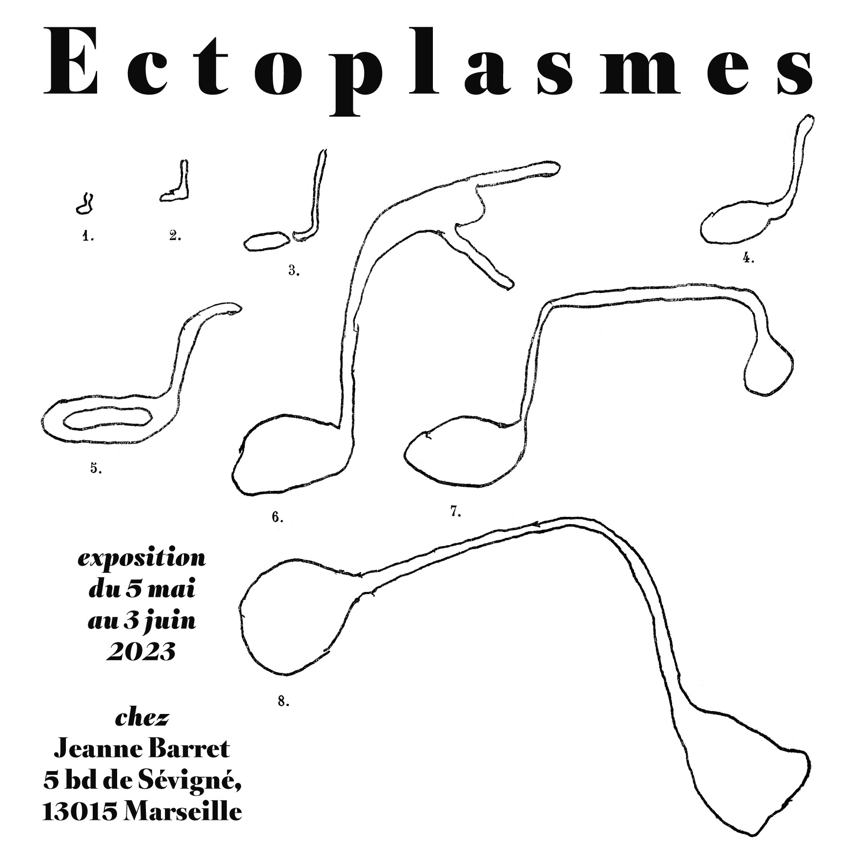 ectoplasmes_insta_ok-1