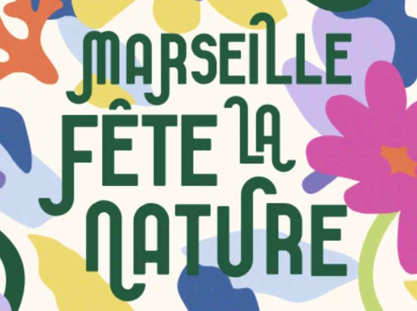 capture-decran-2025-05-10-a-18.56.16