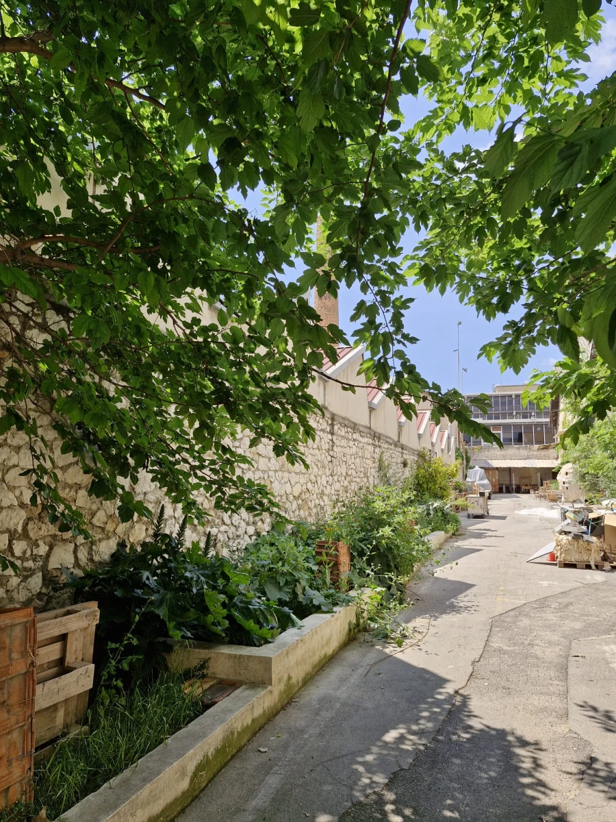 whatsapp-image-2025-06-03-at-11.06.39-am