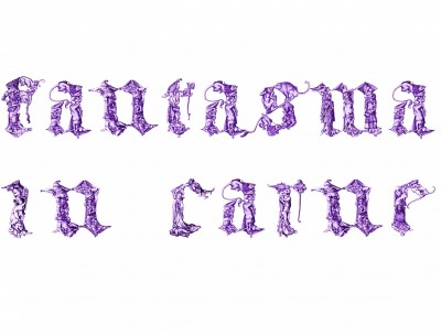 fantasma-in-carne-affiche-pac-v1