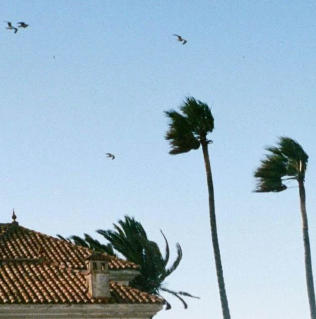 chloe-despax-vent-violent-festival-pac-2026