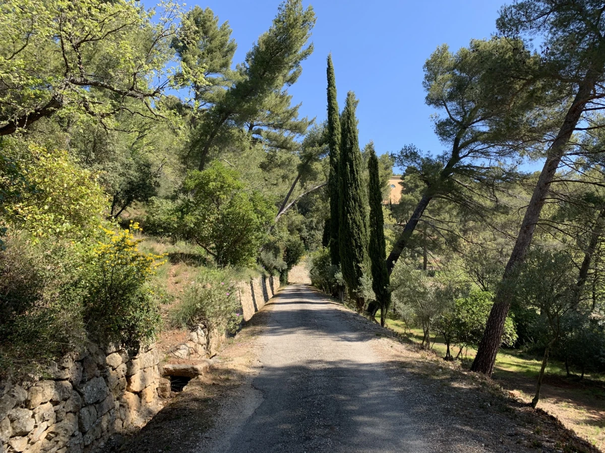 Paysage endormi, route pour arriver au domaine. Tholonet, Pays d’Aix.