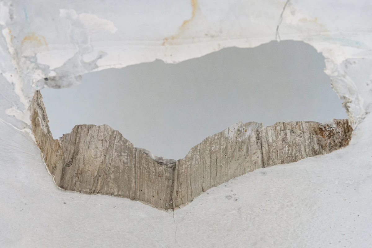 visuel-scep-antoine-bondu