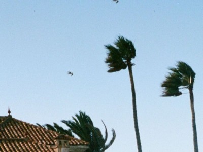 vent_violent_bykevinledortz