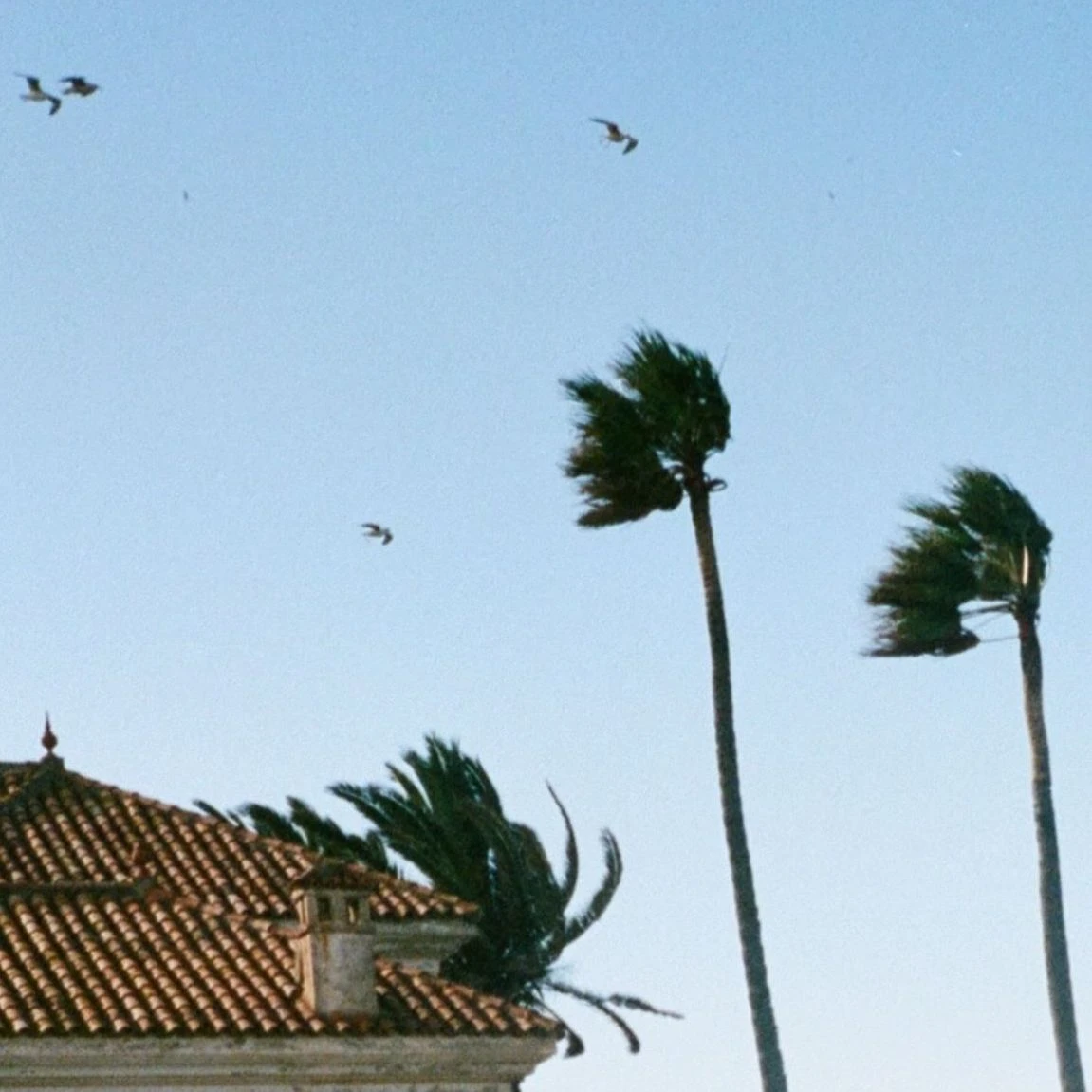 vent_violent_bykevinledortz-1