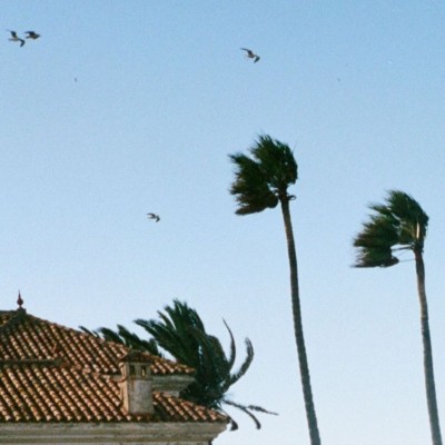 vent_violent_bykevinledortz-1