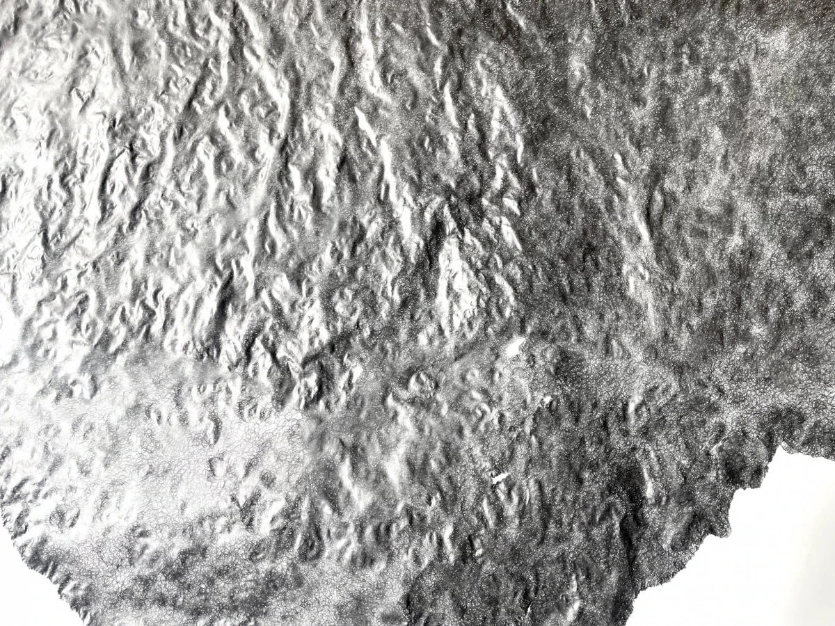 Ludivine Venet, <em>sans titre</em>, 2024