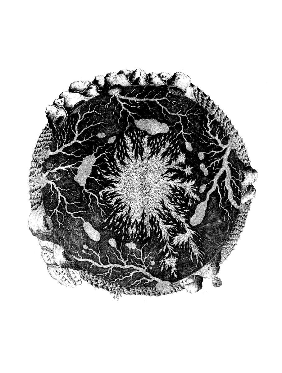 Kircher Athanasius, <em>Mundus subterraneus</em> - © BnF