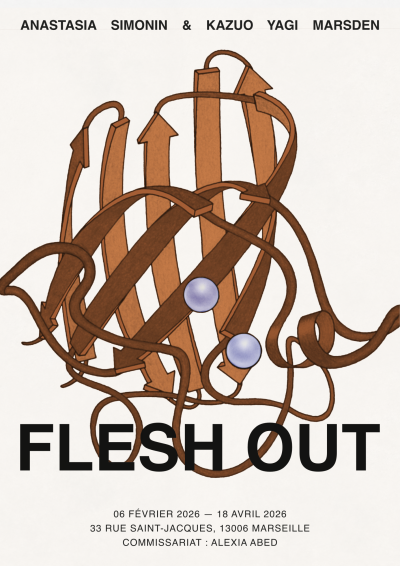 Affiche : François Gouret @unpeupress
Image : © Jane S. Richardson