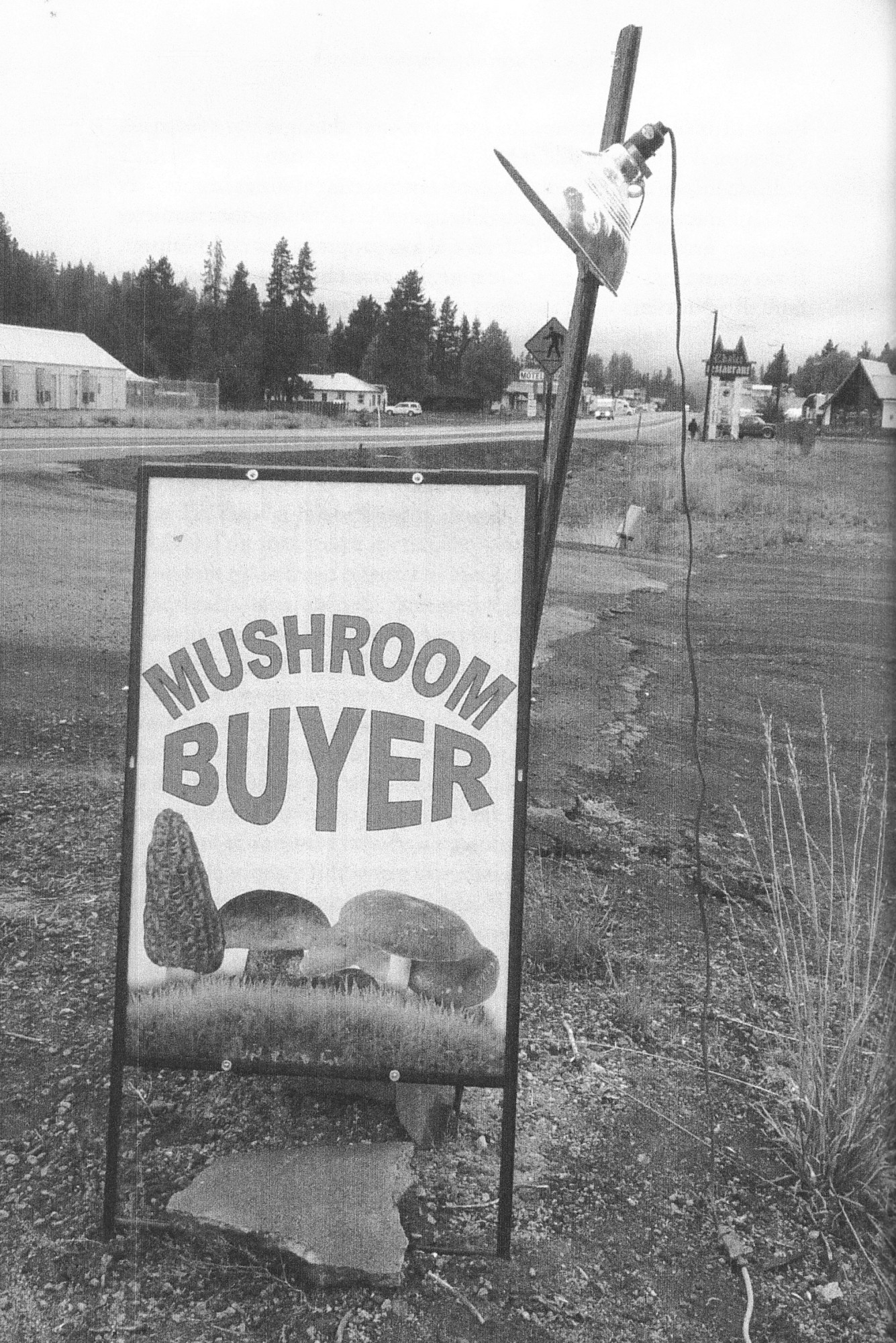 Mathilde Nicol, *Mushroom buyer*, photographie extraite de l'ouvrage *Le champignon de la fin du monde*, Anna Lowenhaupt Tsing, édition La découverte, 2017, p.98