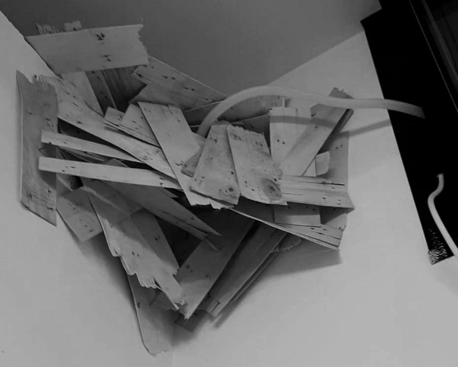 <em>ouevre de Cassandra Larose</em> Crédit photo L3 Arts plastiques AMU