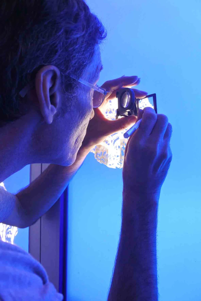 <em>Didier Petit</em> © Anne Loubet