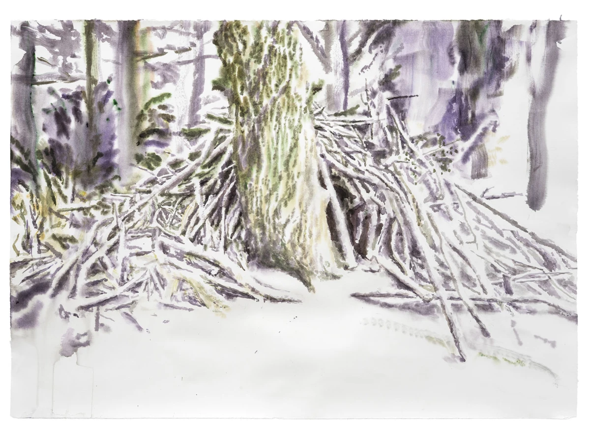 Matthieu Montchamp - <em>Sans titre (Cabane)</em> - Aquarelle - 70X100 - 2020