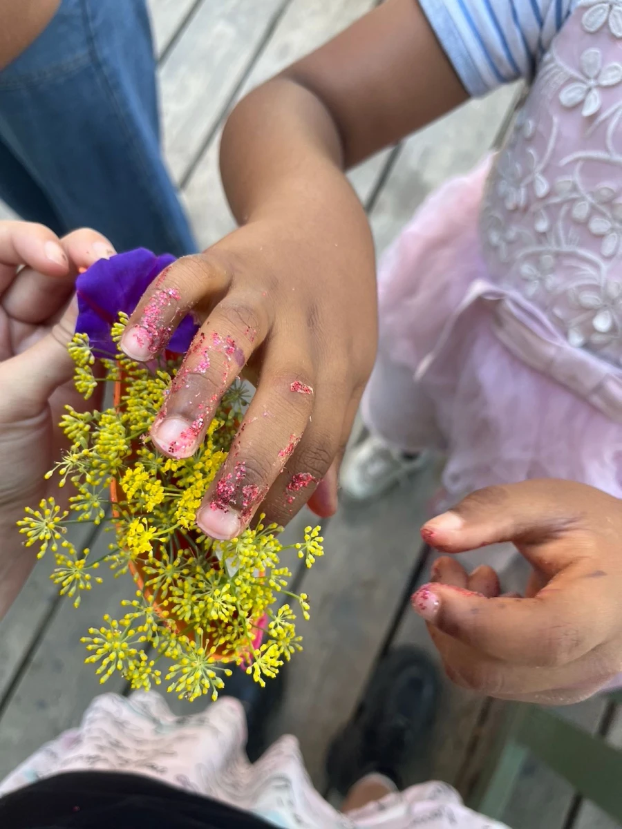 whatsapp-image-2026-01-08-at-17.40.18