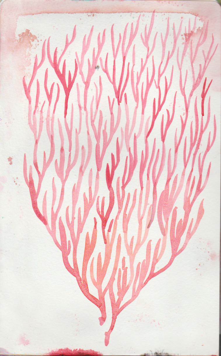 *Arbre de vie* croquis à l'aquarelle 2025. Cr Photo Gaëlle Villedary