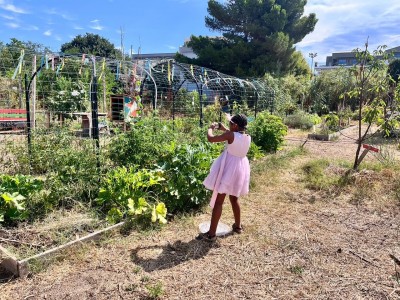 8ccead6e-556d-473d-8700-2ded3a831b66