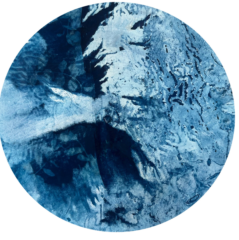 Série de cyanotype circulaire D/30cm