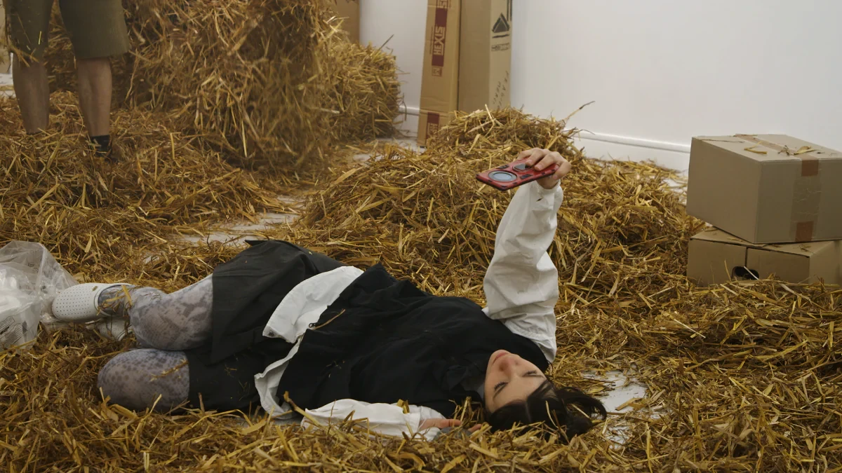 peak-performance-1200x675