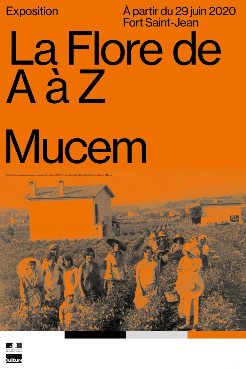 mucem_affiche_la_flore_de_a_a_z