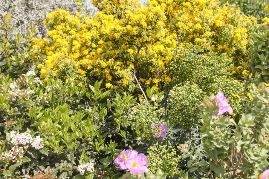 Jardin des migrations, Mucem © Clémence Piot