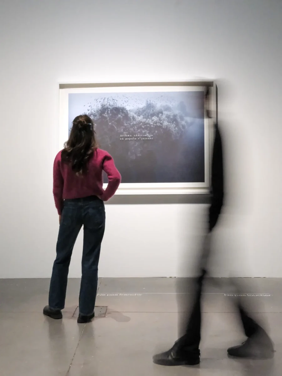clement_cogitore_sceno_mucem_dec_25adele_melice_dodart_2