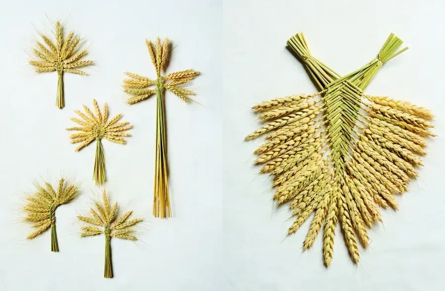 Bouquet de moisson - Atelier Plein-air ©Anaïs Barelli