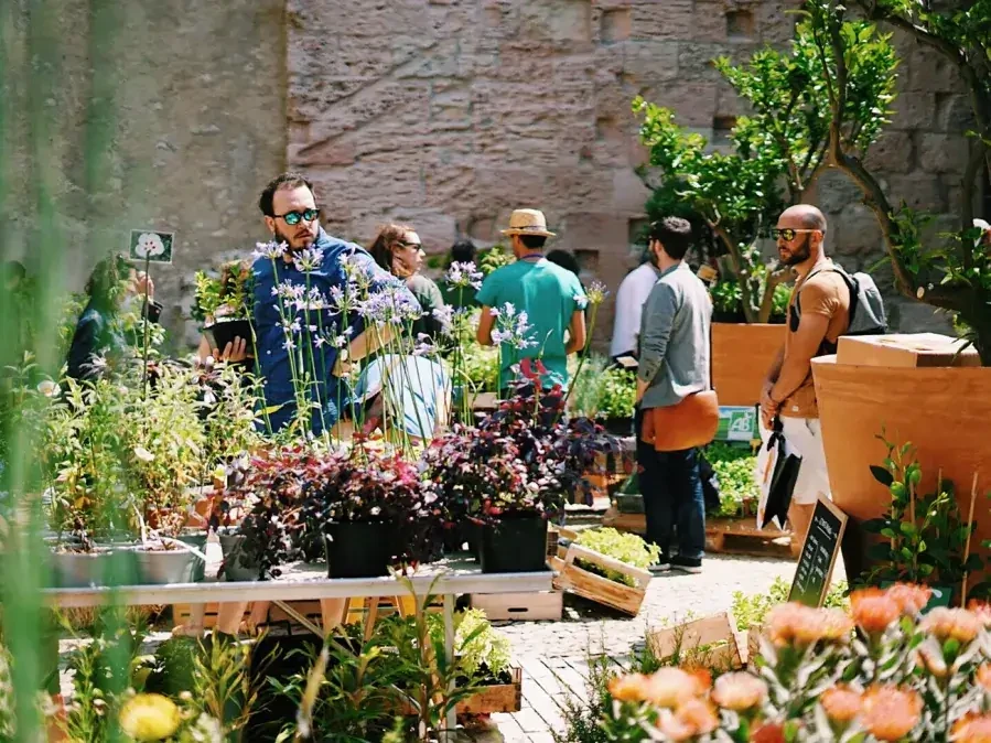 Fête des plantes © Julie Cohen, Mucem
