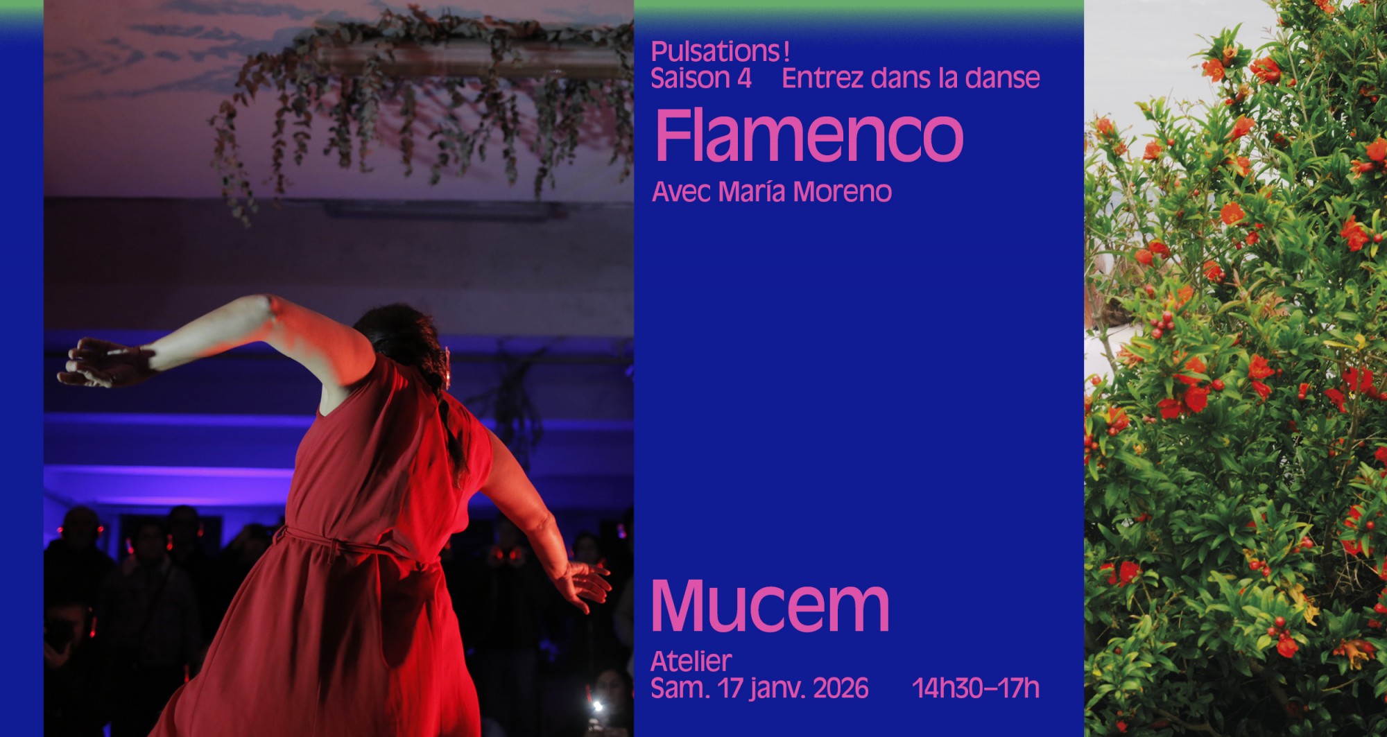 mucem_pulsations_declis-digitales-atelier_fb7