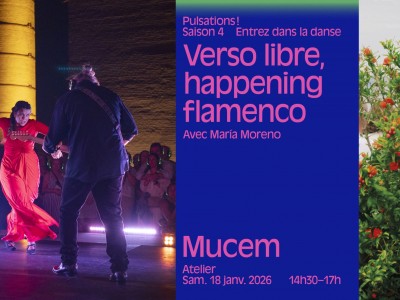 mucem_pulsations_declis-digitales-atelier_fb8