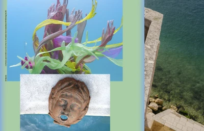 mucem_laure-prouvost_affiches-site_1280-x-823