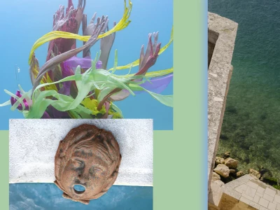mucem_laure-prouvost_affiches-site_1280-x-823