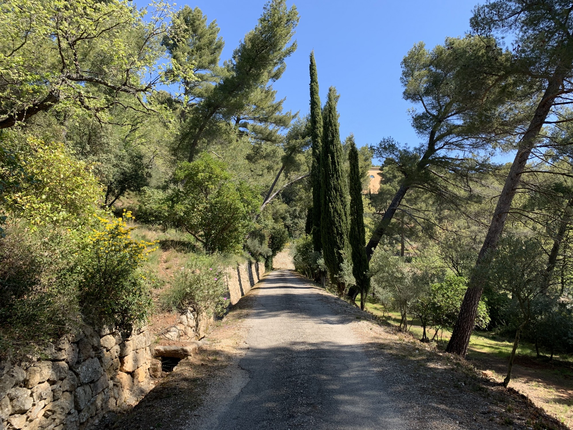 Paysage endormi, route pour arriver au domaine. Tholonet, Pays d'Aix.