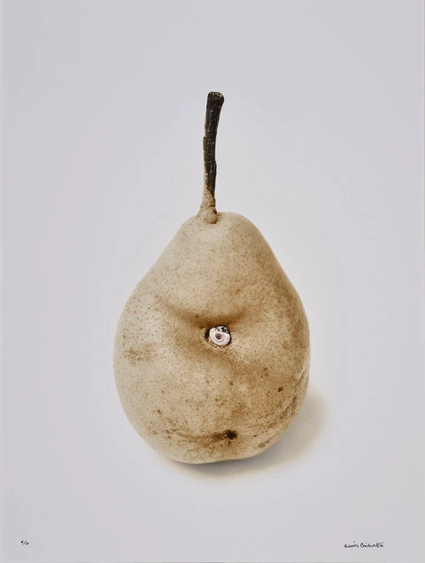 Denis Brihat, Poire