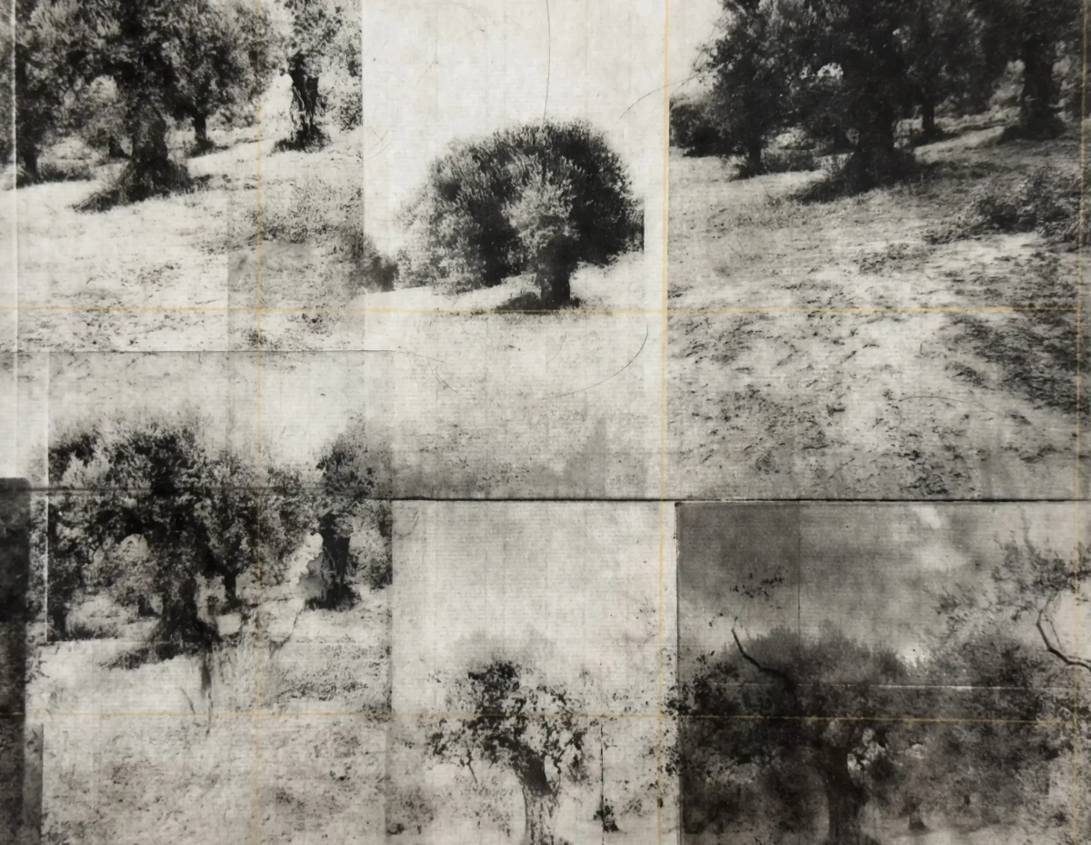 Kati Dovellos, Elaia, 2026 Photogravure sur papier japonais et bois 50 x 70 cm Pièce unique© Kati Dovellos / Courtesy Galerie Parallax