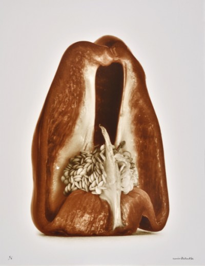 Denis Brihat, Poivron