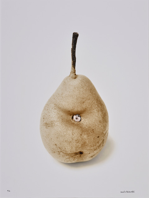 Denis Brihat, Poire