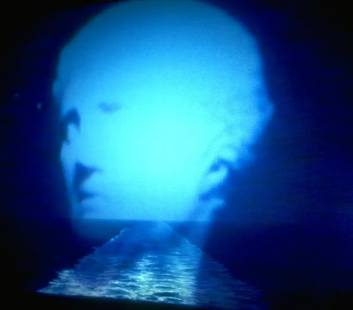 Ange Leccia, La mer avec tête de niobé, collection Frac Occitanie