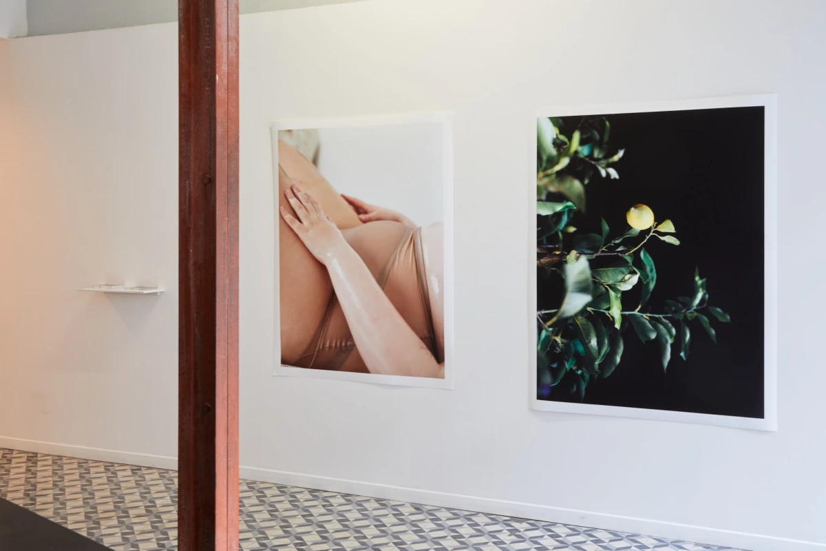 Exposition BEAUTY NOTES, Léa Guintrand, 2025.