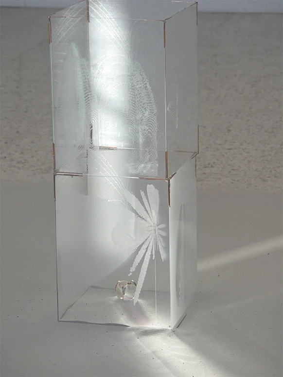 Rayonnements, gravure sur verre, bois, cuivre, verres de lunettes récupérés, 2024. Photo © Camille Derniaux