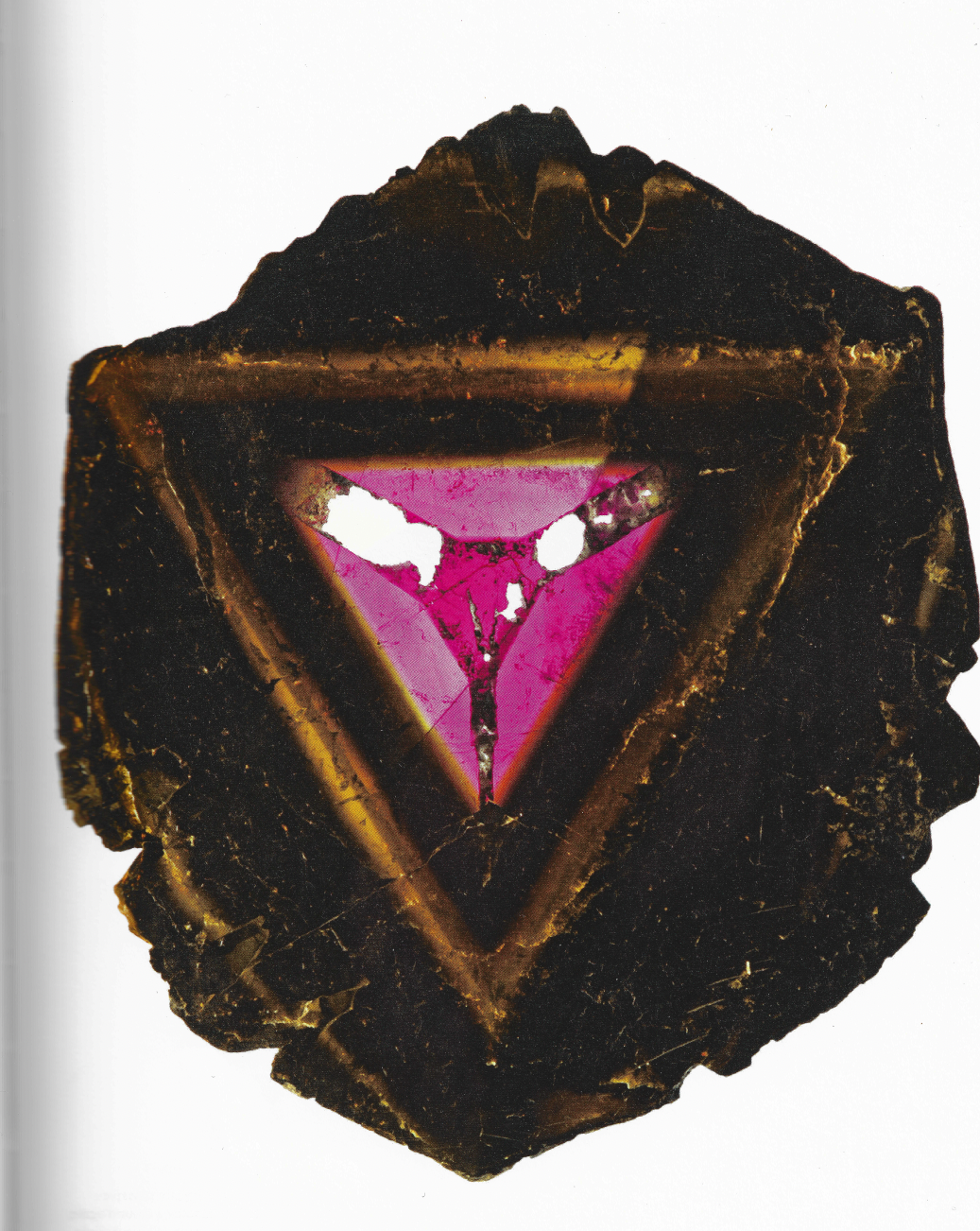 capture-decran-2026-02-23-a-14.14.25