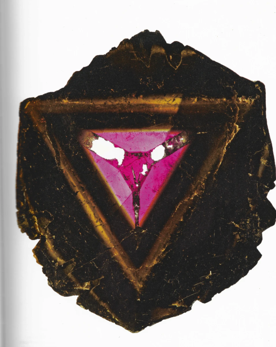 capture-decran-2026-02-23-a-14.14.25