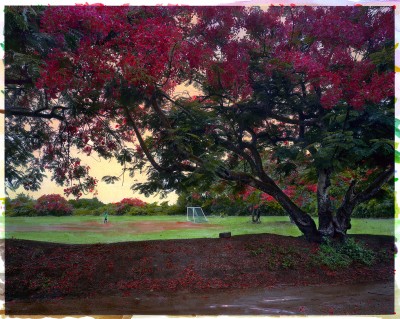 Marie Bovo, *Après la pluie*, 2024. Justine Viard