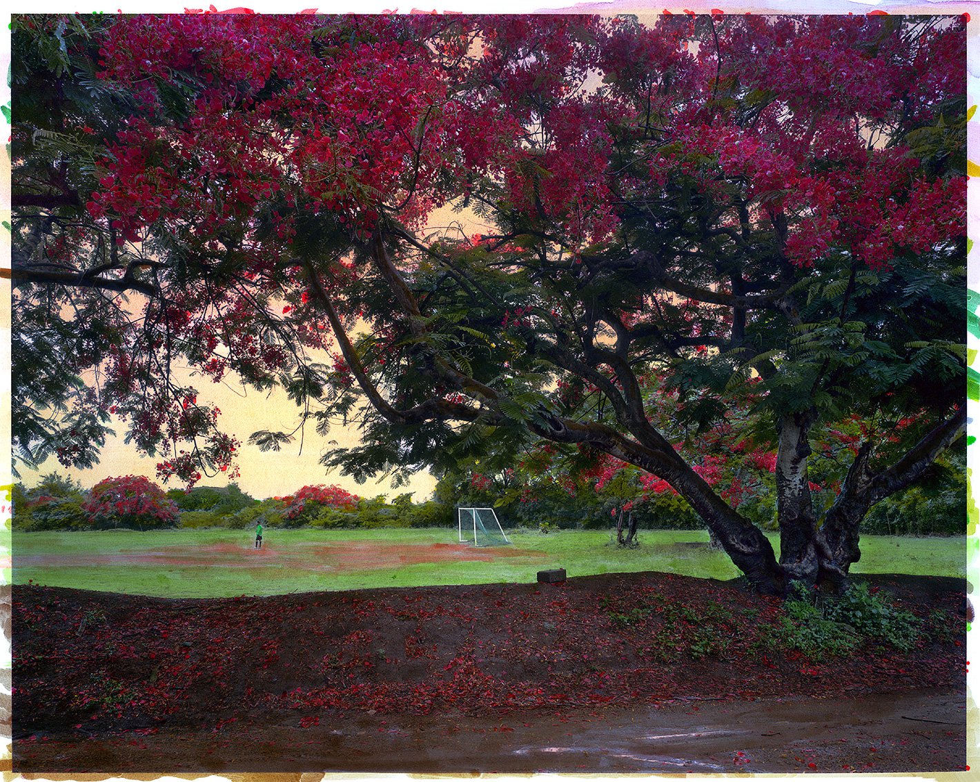 Marie Bovo, *Après la pluie*, 2024. Justine Viard