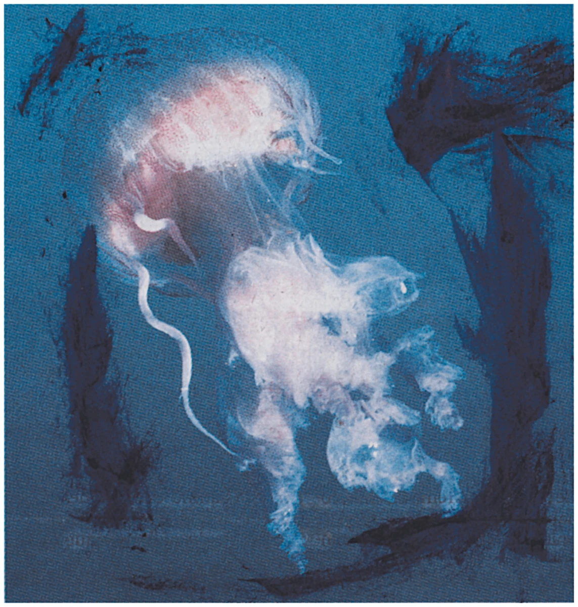 Jean-Luc Moulène, <em>Ecologie</em>, 2018