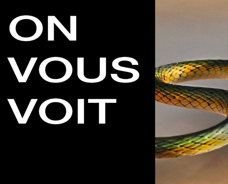 on-vous-voit