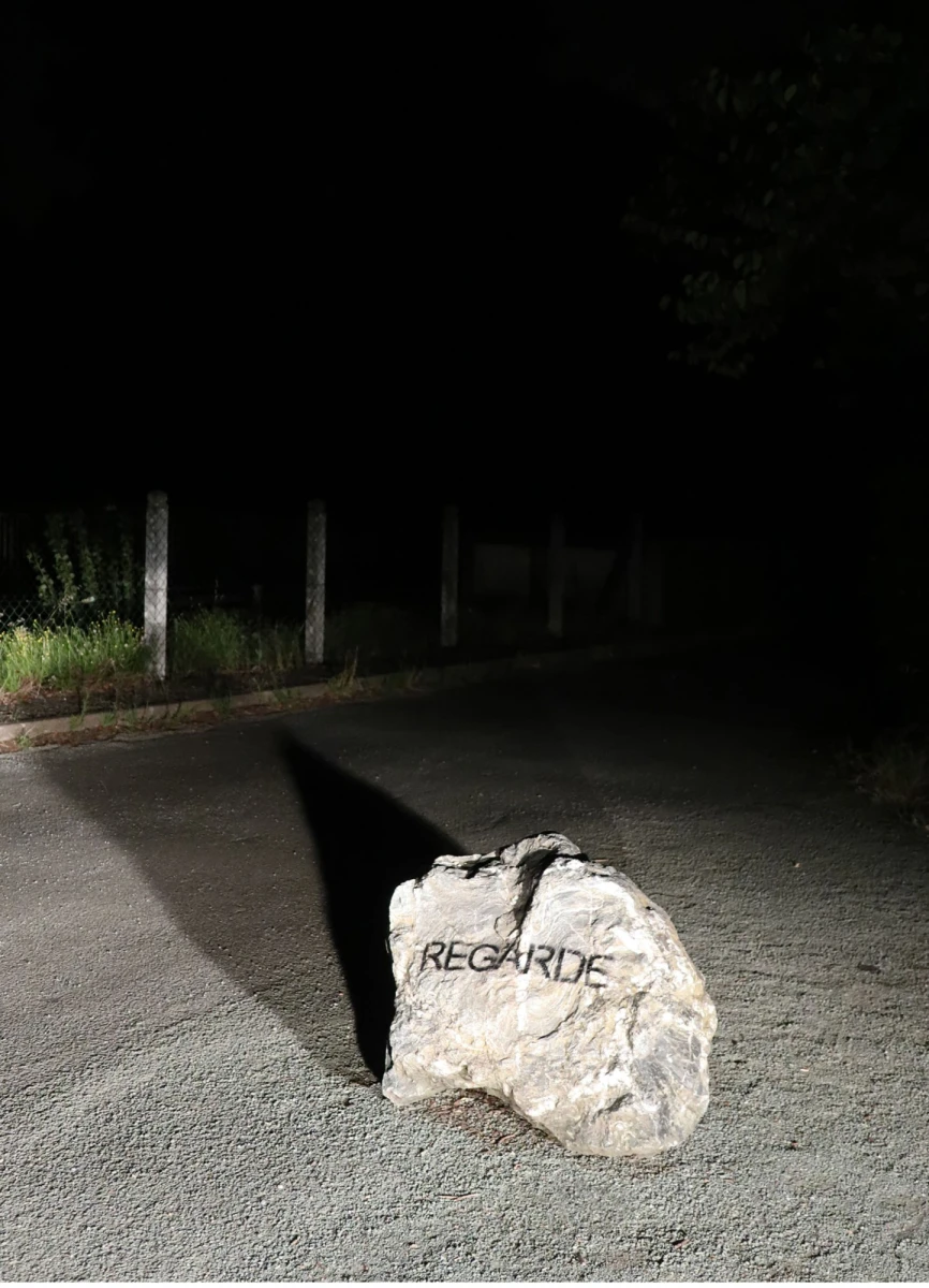 Laurent Lacotte, <em>Regarde</em>, 2021, credit photo Laurent Lacotte