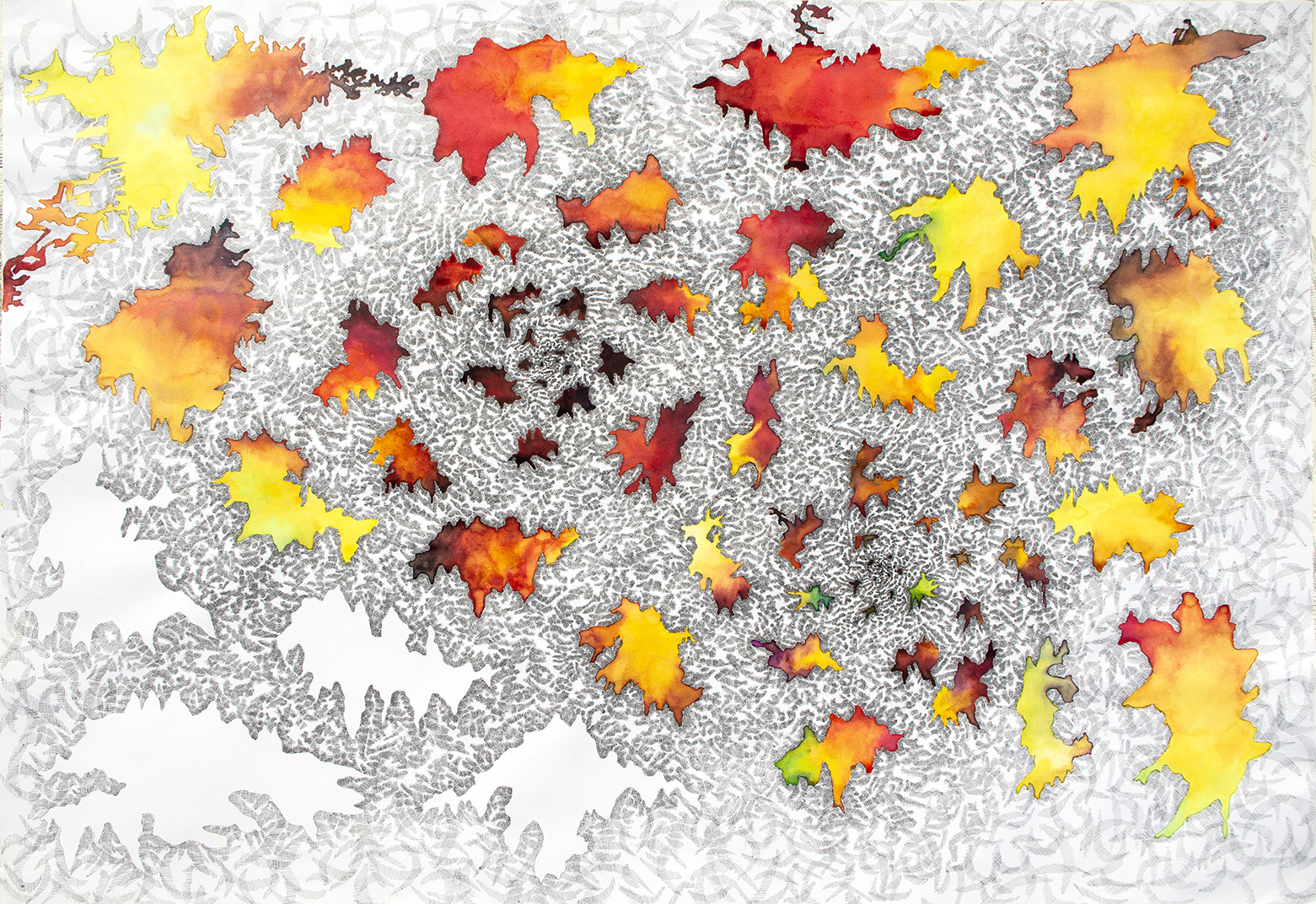 visuel-am-1-ariane-maugery-swarming-birds-diptyque-dessine-a-lencre-de-chine-et-encres-colorees-sur-papier-110x65-cm-2021